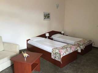 Отель Dafovska Hotel Пампорово Двухместный номер с 2 отдельными кроватями-2