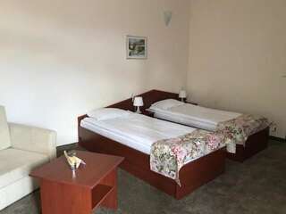 Отель Dafovska Hotel Пампорово Двухместный номер с 2 отдельными кроватями-6